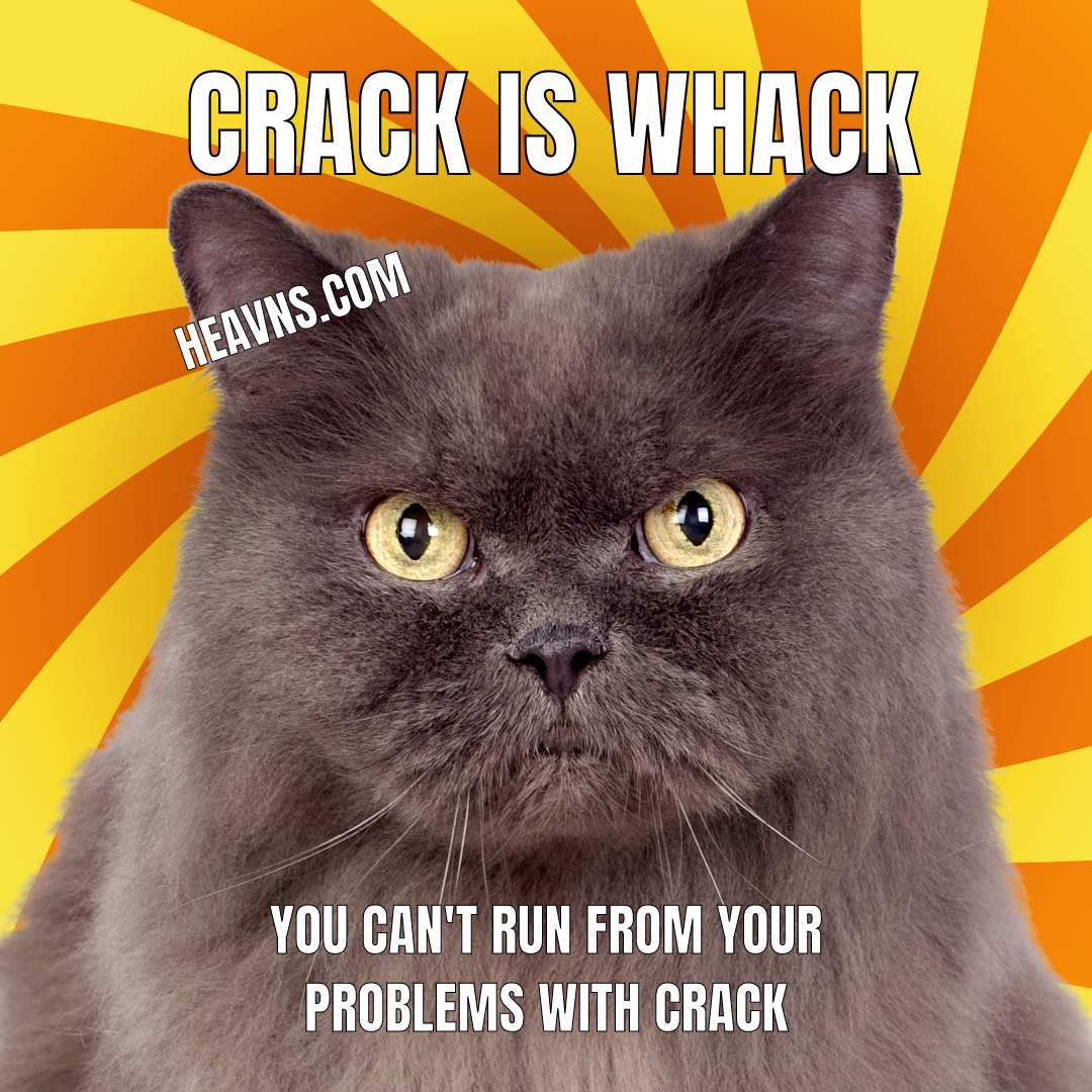 10 Crack Commandments List