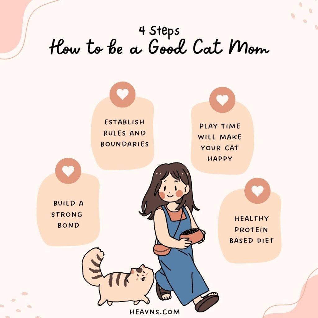 How to be a good cat mom 4 steps