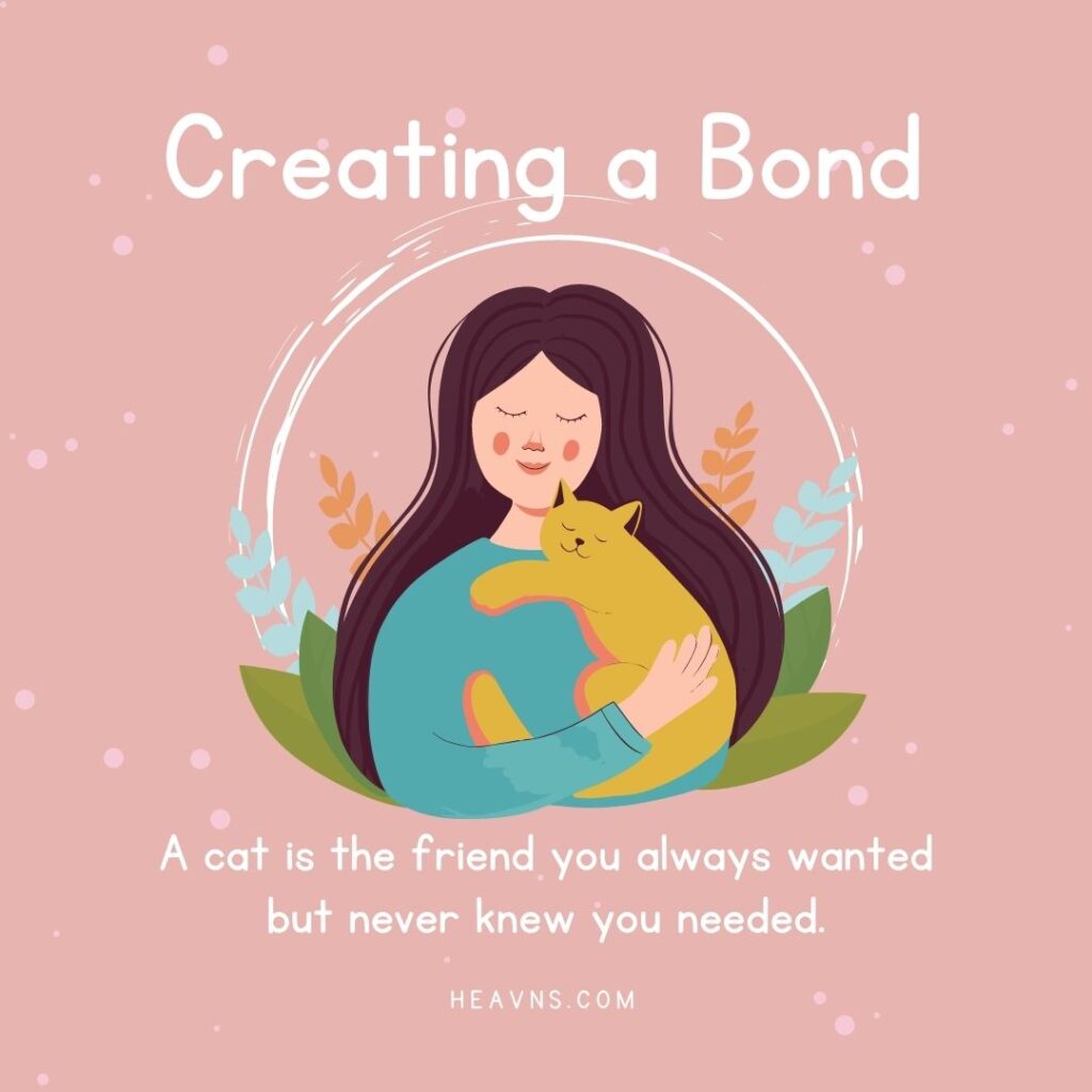 Create a bond with your cat - how to be a good cat mom
