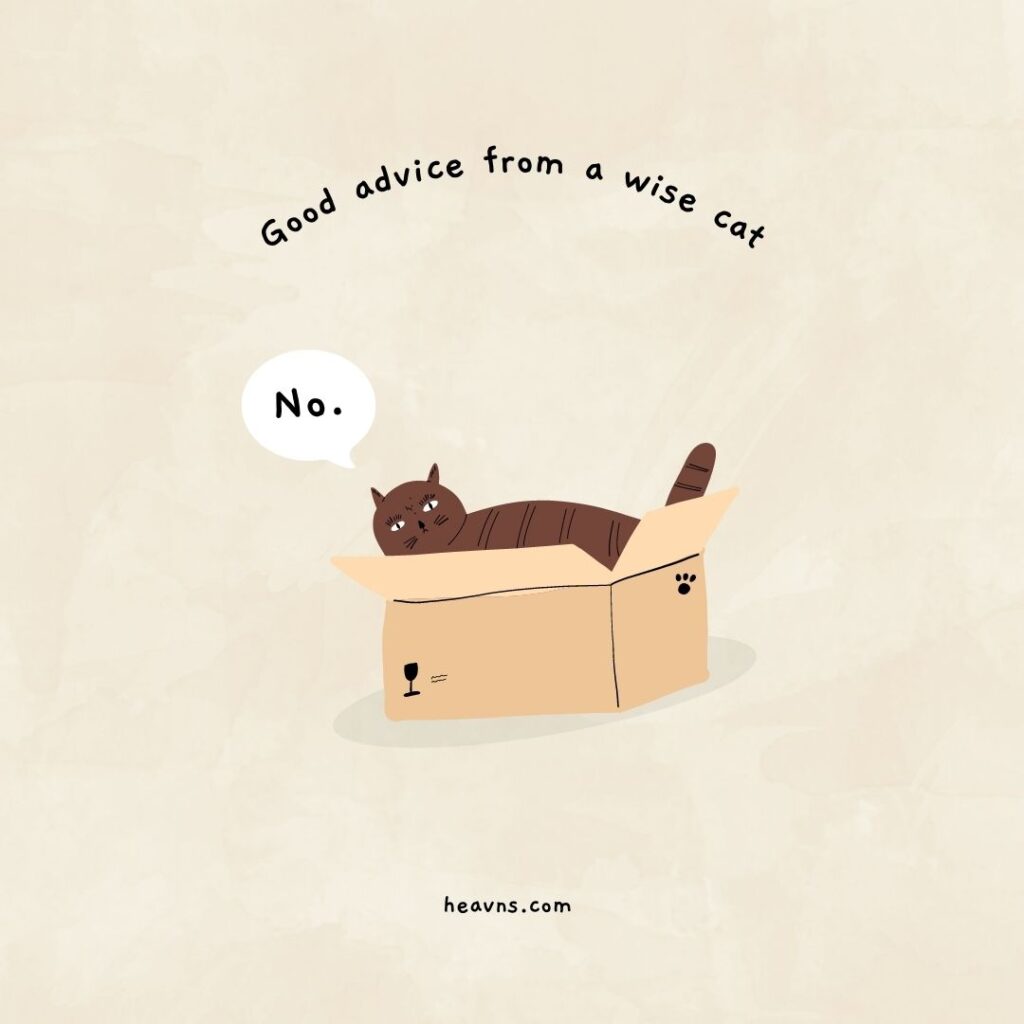 Good advise from a wise cat