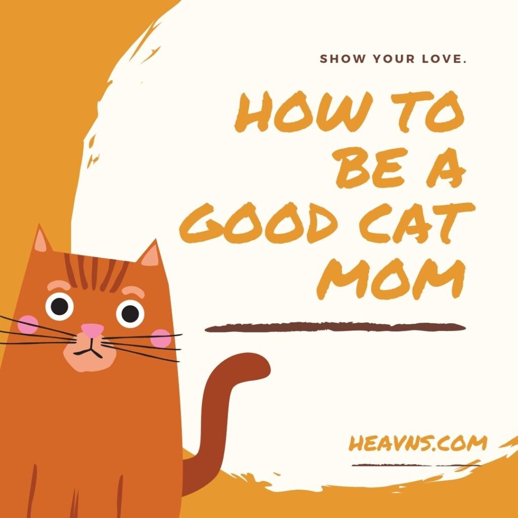 How to be a good cat mom