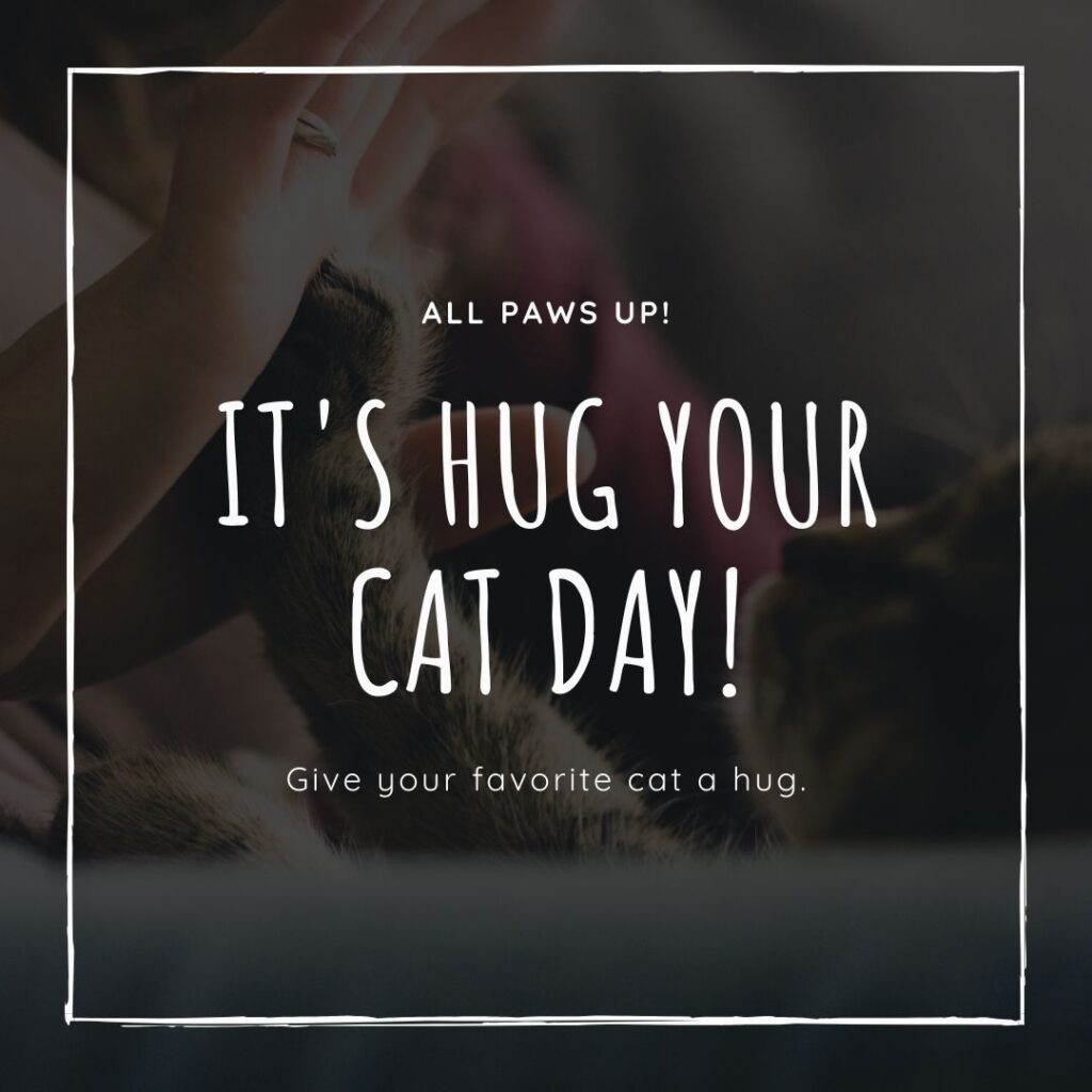 It's hug your cat day