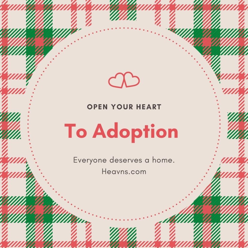 Open your heart to adoption